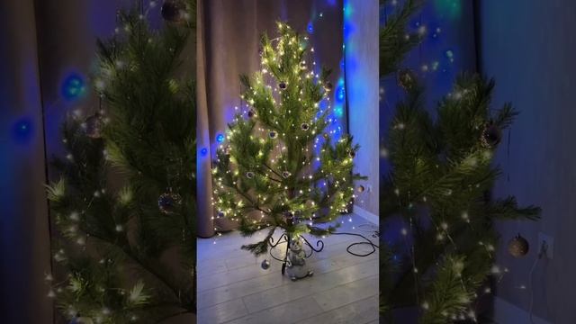 #новыйгод #елка