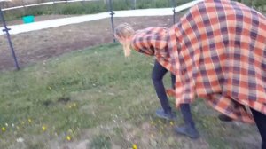 ЛОШАДЬ из человек