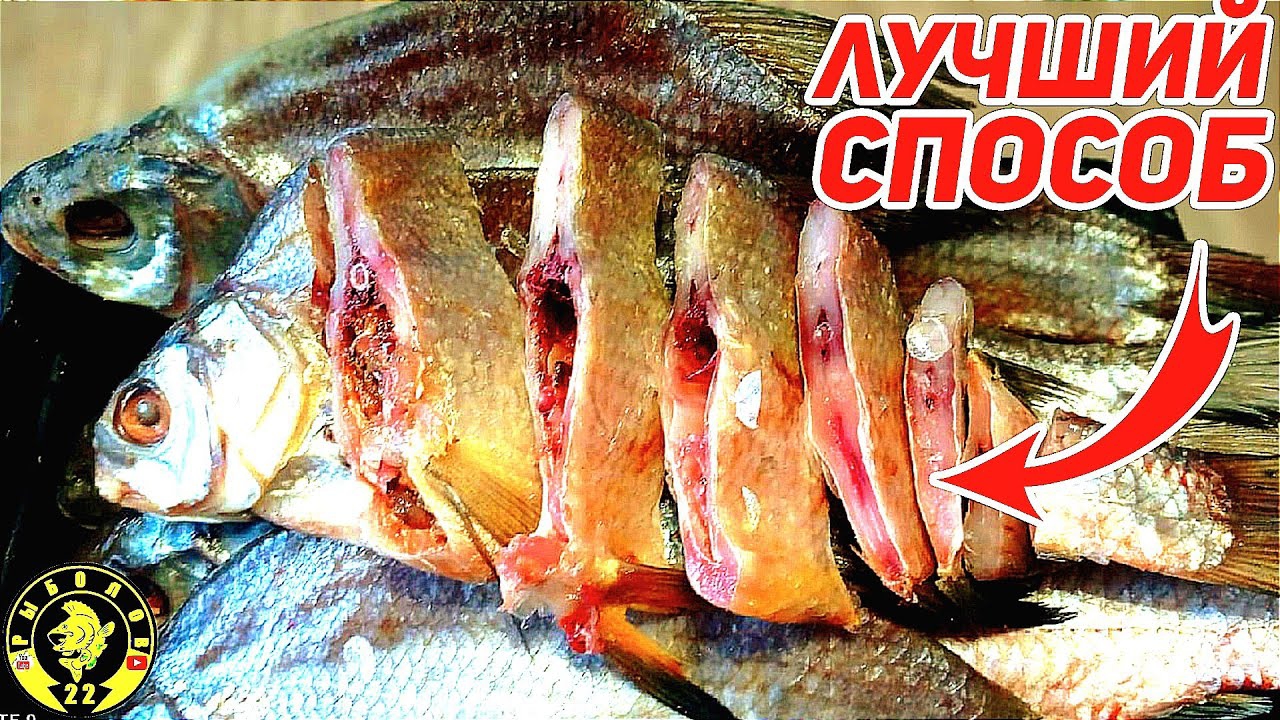 Как посолить рыбу. Солю рыбу сухим посолом .