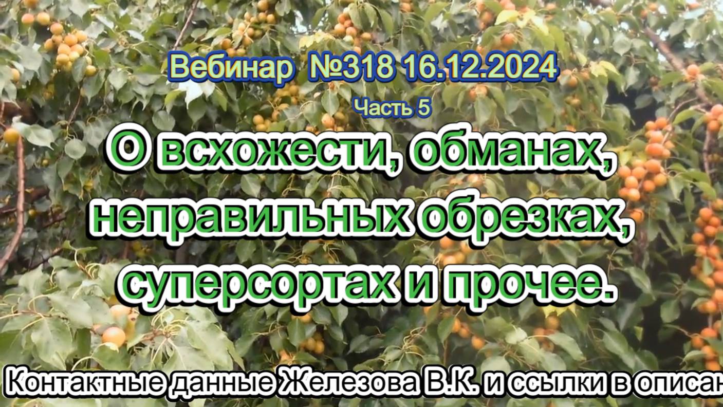 Железов Валерий. Вебинар 318. ч.5.  О всхожести, обманах, неправильных обрезках, суперсортах и проче