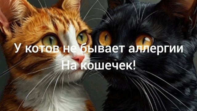 настоящая любовь