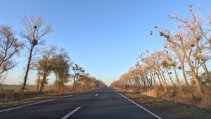 После ответа невестки, свекровь очень пожалела о содеянном...