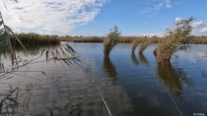 Через камыши за карасями, рыбалка на поплавочную удочку, осень 2022 снасть поплавочная