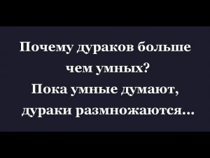 Последнее лето детства