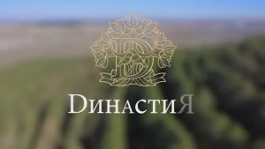 Коттеджный посёлок Династия в Крыму