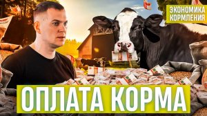 Оплата корма