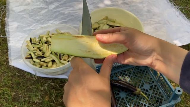 💯EN Pratik SAKLAMA Yöntemi PATLICANLARI İsteğin ŞEKİLDE KES Ve GÜNEŞE SER Bu KADAR kolay KIŞLIK