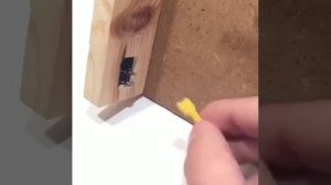 Умелые руки
