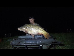 НОЧНОЙ КАРП ЧУТЬ НЕ УТАЩИЛ В ВОДУ, carp fishing  РЫБАЛКА НА КАРПА