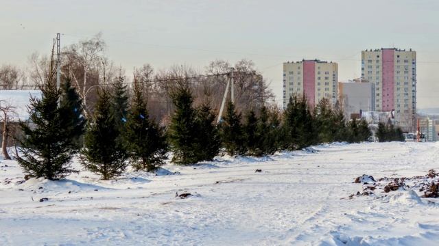 По ул. Гагарина до Соборной - новые остановки, высажены деревья