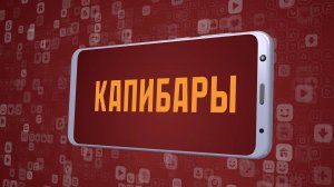 «Капибары». Киножурнал «Вслух!». Молодёжный сезон. Выпуск 25. 12+