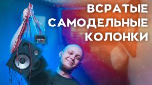 Колонки из старых динамиков своими руками