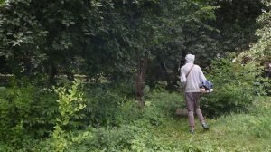 В Центральном округе Курска продолжают покос сорной растительности
