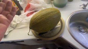 Парикмахерская в СНТ / У меня самый лучший зять  27-28 августа 2022 г.