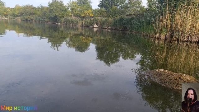 Свекор стал часто навещать невестку, когда сына не было дома...