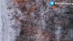 ‼🇷🇺🔥🏴⚡Бои у Купянска: разведка громит пехоту ВСУ на подступах к городу