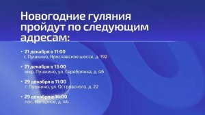 В Пушкинском готовятся праздновать Новый год