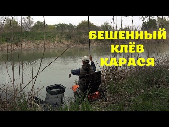 РЫБАЛКА НА УДОЧКУ БЕШЕННЫЙ КЛЁВ КАРАСЯ В КАНАЛЕ, КЛЁВ РЫБЫ