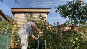 Каждый мужчина обязан … / Чёрный ворон / Баба Люба давай… 29 сентября 2023 г.