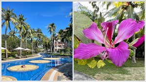 #18 Чем кормят на завтрак на Хайнане? Отель Golden Palm в Ялонг бэй. Красивый бассейн. Рынки еды