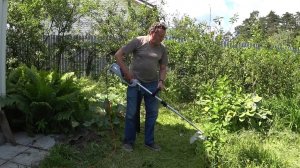 ВЛОГ Косилки для соседки / Кошки Светланы / Мама и клубника  24 июня 2020 г.