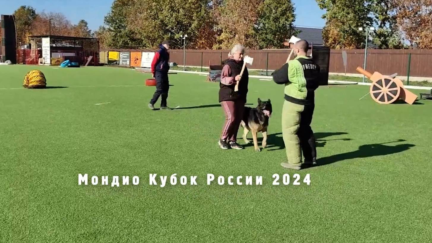 Мондио Кубок России 2024