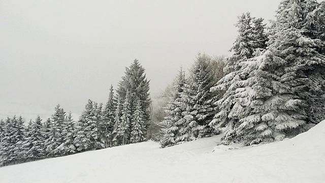 Звуки Зимы. Звуки Снежной Бури в Лесу. Расслабляющая СИЛЬНАЯ МЕТЕЛЬ и ПУРГА Успокаивающий ШУМ ВЕТРА