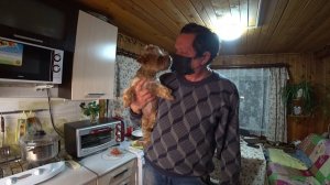 ВЛОГ Женя сердится  / Осеннее черенкование (эксперимент) / Семейка Адамс  4 ноября 2020 г.