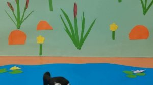 Развитие лягушки