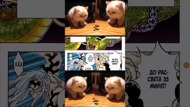 #tanjro #anime #hinokamitanjiro #demonslayer #mitsurikanjori #demonslayermitsuri #аниме #tanjirou смотреть онлайн