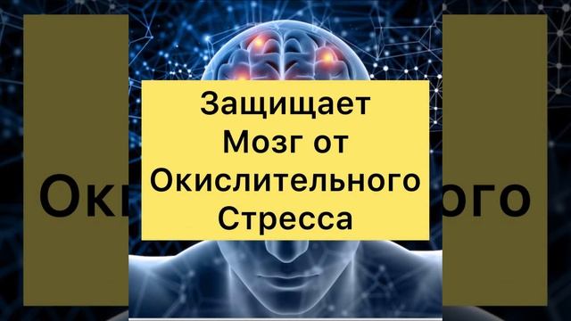 Как УЛУЧШИТЬ ПАМЯТЬ И РАБОТУ МОЗГА?