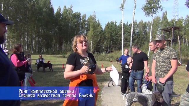 64 Тверская областная выставка охотничьих собак.
Ринг Курцхааров