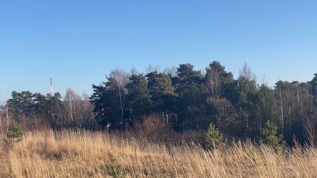 Земельный участок в д. Борисово 50:32:0040212:2269