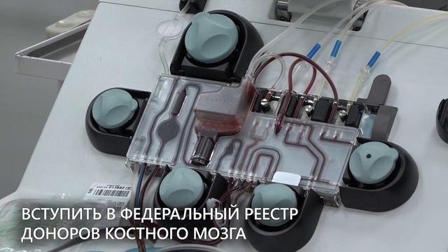 Омск присоединился к всероссийскому марафону в поддержку донорства костного мозга «Давай вступай!»