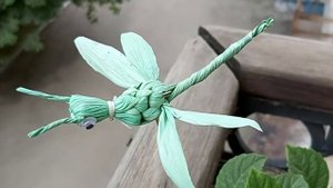 Стрекоза из талаша