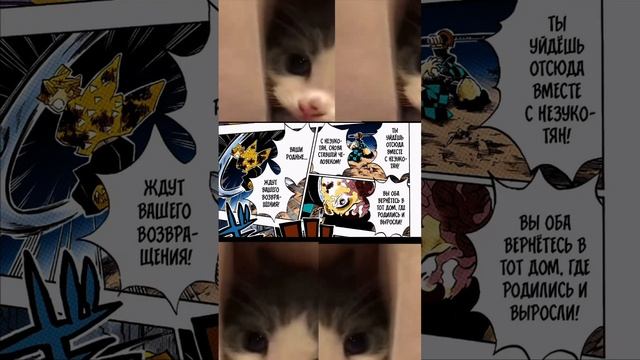 #tanjro #anime #hinokamitanjiro #mitsurikanjori #kimetsunoyaiba #demonslayermitsuri #аниме #tanjirou смотреть онлайн