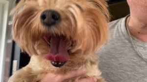 Гроза, гроза !!! Страшно аж жуть ! / Делюсь мороженным  23-24 апреля 2021 г.