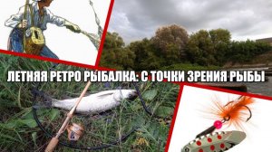 Летняя ретро-рыбалка: с точки зрения рыбы.