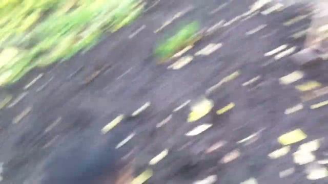 Соседи оххууели Ч.2 Новый гость собака паркурист. смотреть онлайн