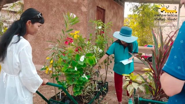 Butterfly Paradise Garden Center смотреть онлайн