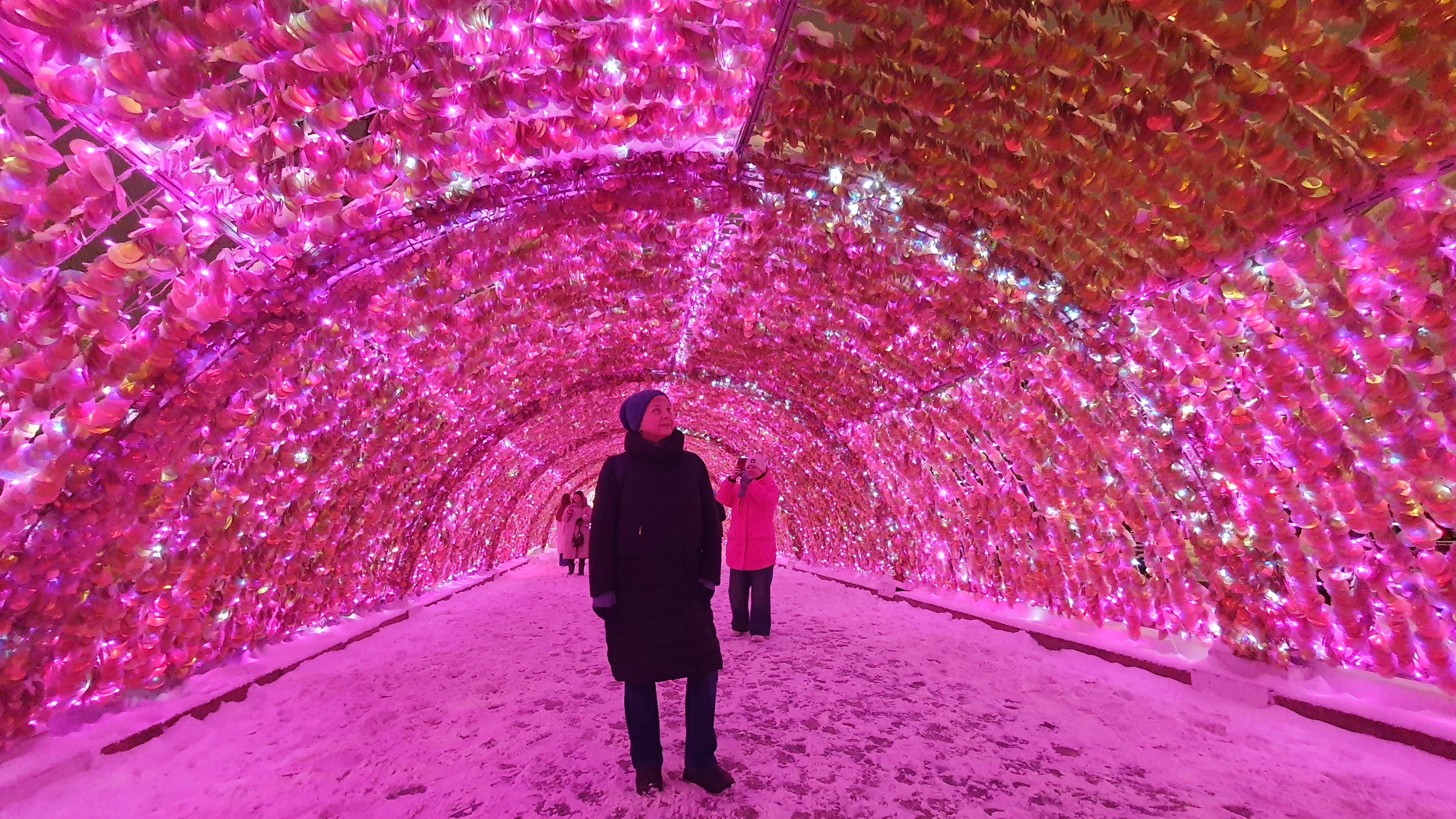 МОСКВА - 15 декабря 2024 г. Предновогодние прогулки – НИКИТСКИЙ и ТВЕРСКОЙ БУЛЬВАРЫ. смотреть онлайн