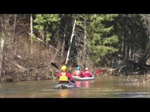 Паводковая Веля 5.04.24