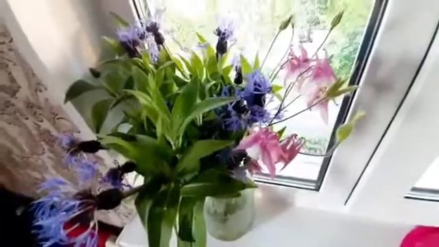 БО ЗАН ЧАН ДАКИКА АЛОКАИ ЧИНСИ БОЯД КАРД? ЧАВОБРО ГУШ КУНЕД