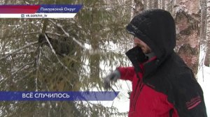 Природоохранная акция «Ёлочка, живи!» проходит в Нижегородской области