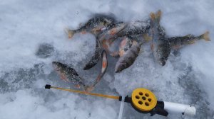 Зимняя рыбалка в Трёхболтаево, открытие сезона.