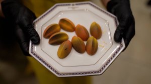 ИСТОРИИ ШЕФА