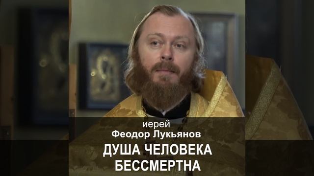 Душа человека бессмертна. Иерей Феодор Лукьянов #мультиблог #иерейфеодорлукьянов