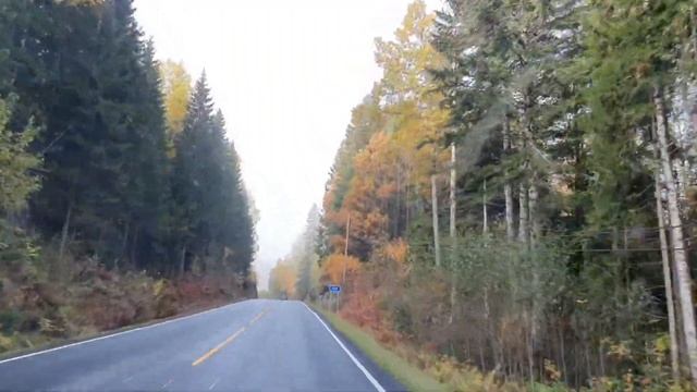Эмансипация норвежских женщин на  конкретных примерах. 😉 Осень в Норвегии.
