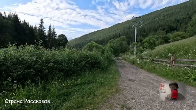Свекровь не учуяла подвох, когда невестка легко согласилась на её требования, но вскоре...