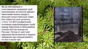 Николаев 17 декабря 2024 года (новости)